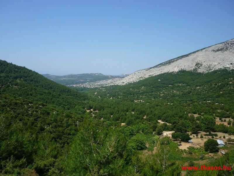 balazsh 2011
